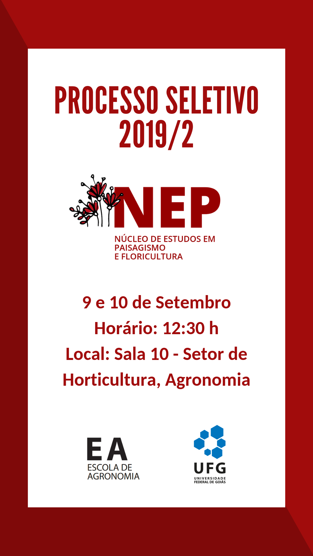 Divulgação UFG (1).png