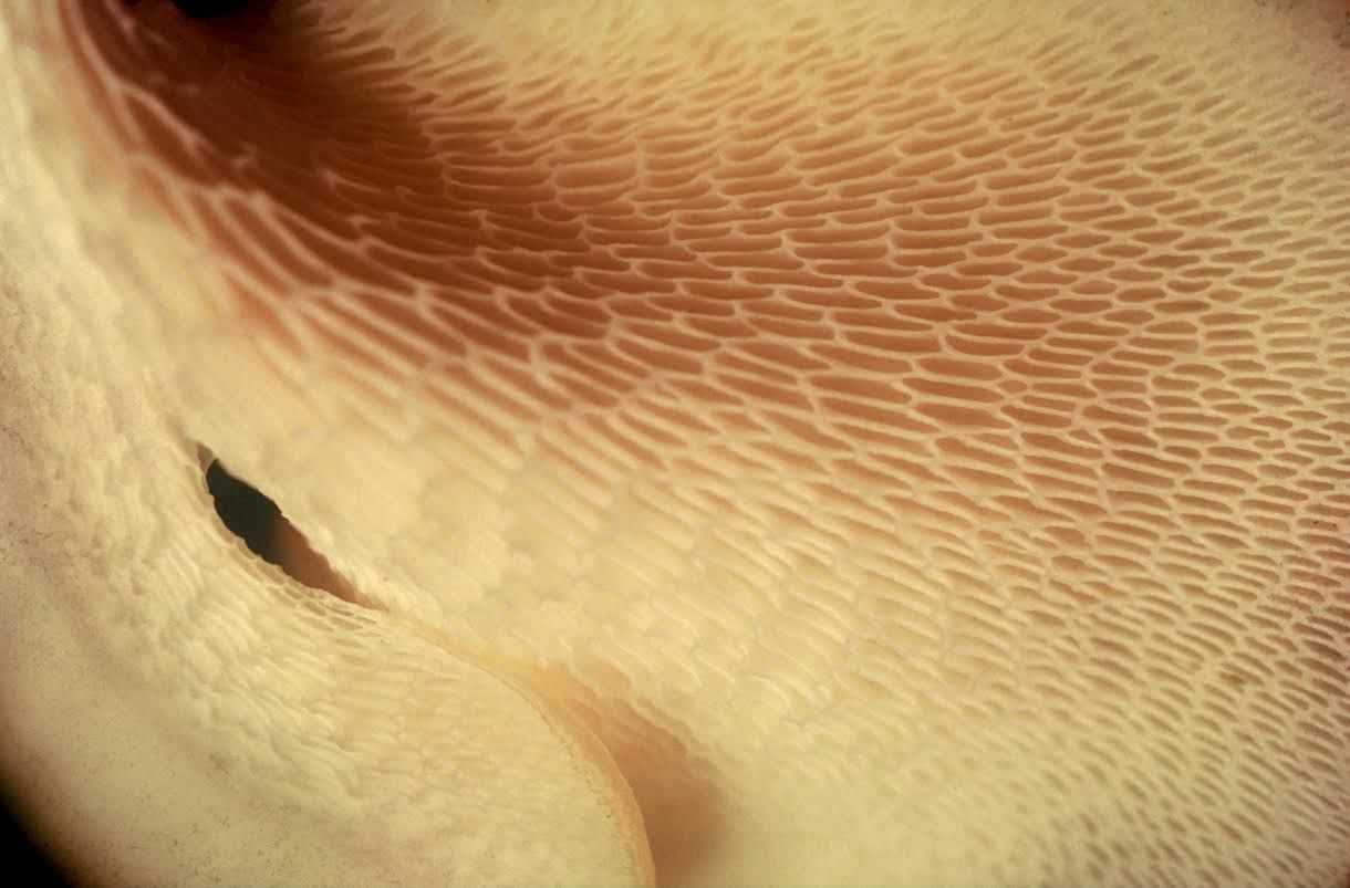 Exposição Água e Textura02