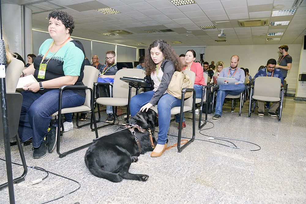 Plateia mesa fake news