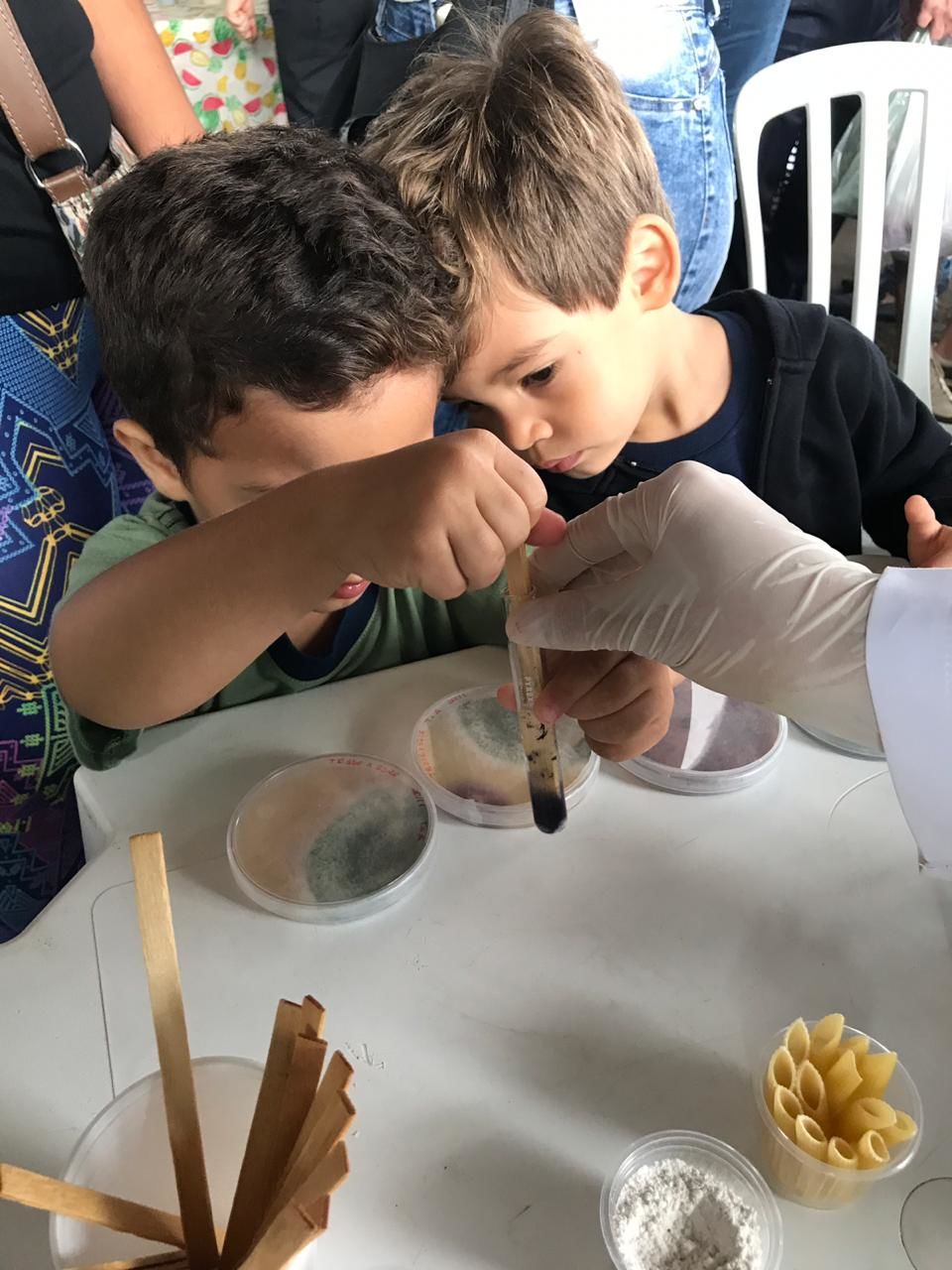 Feira 2018 3