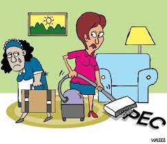 domestica2 domestica2