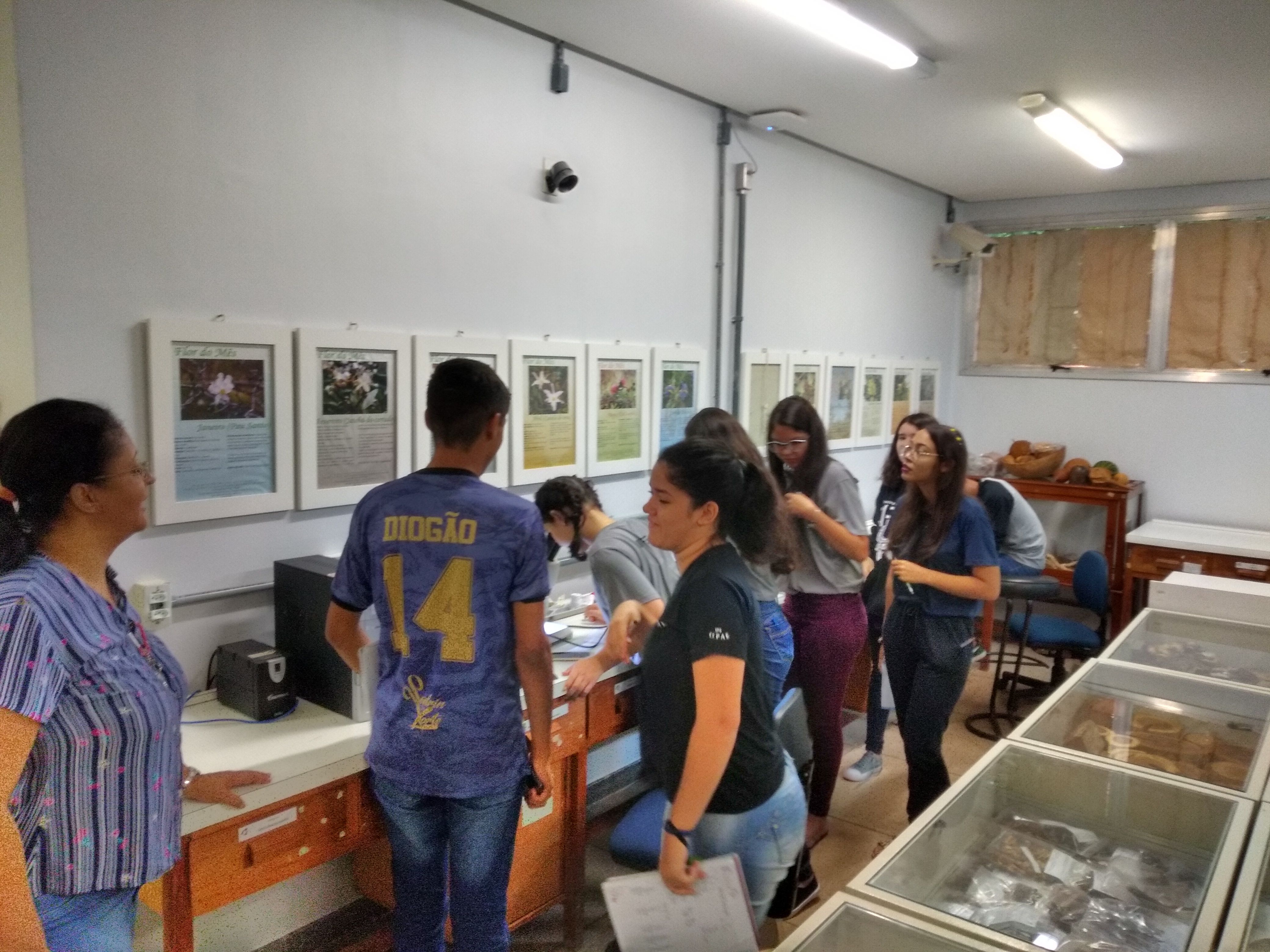 visita em dezembro