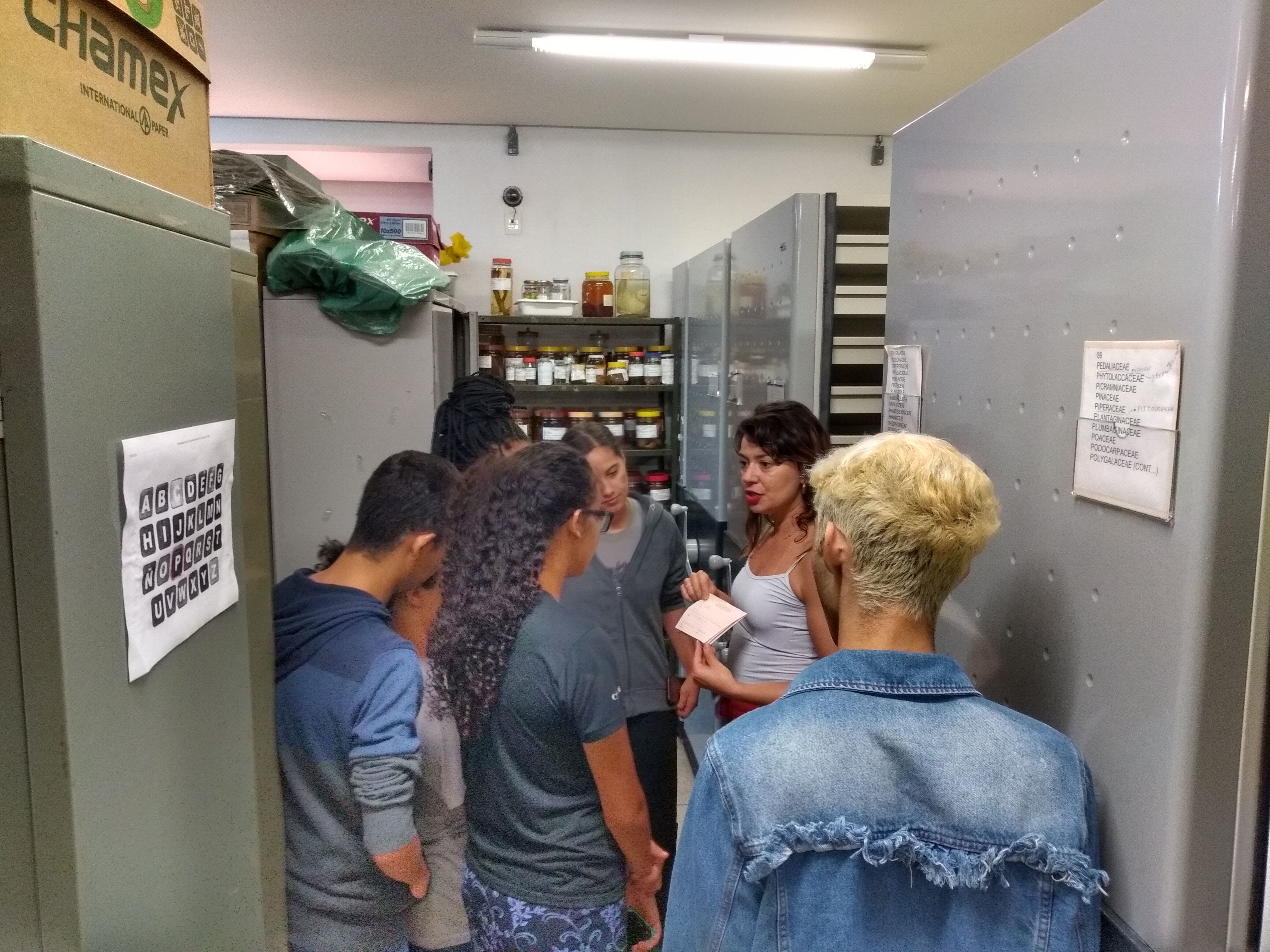 visita em dezembro