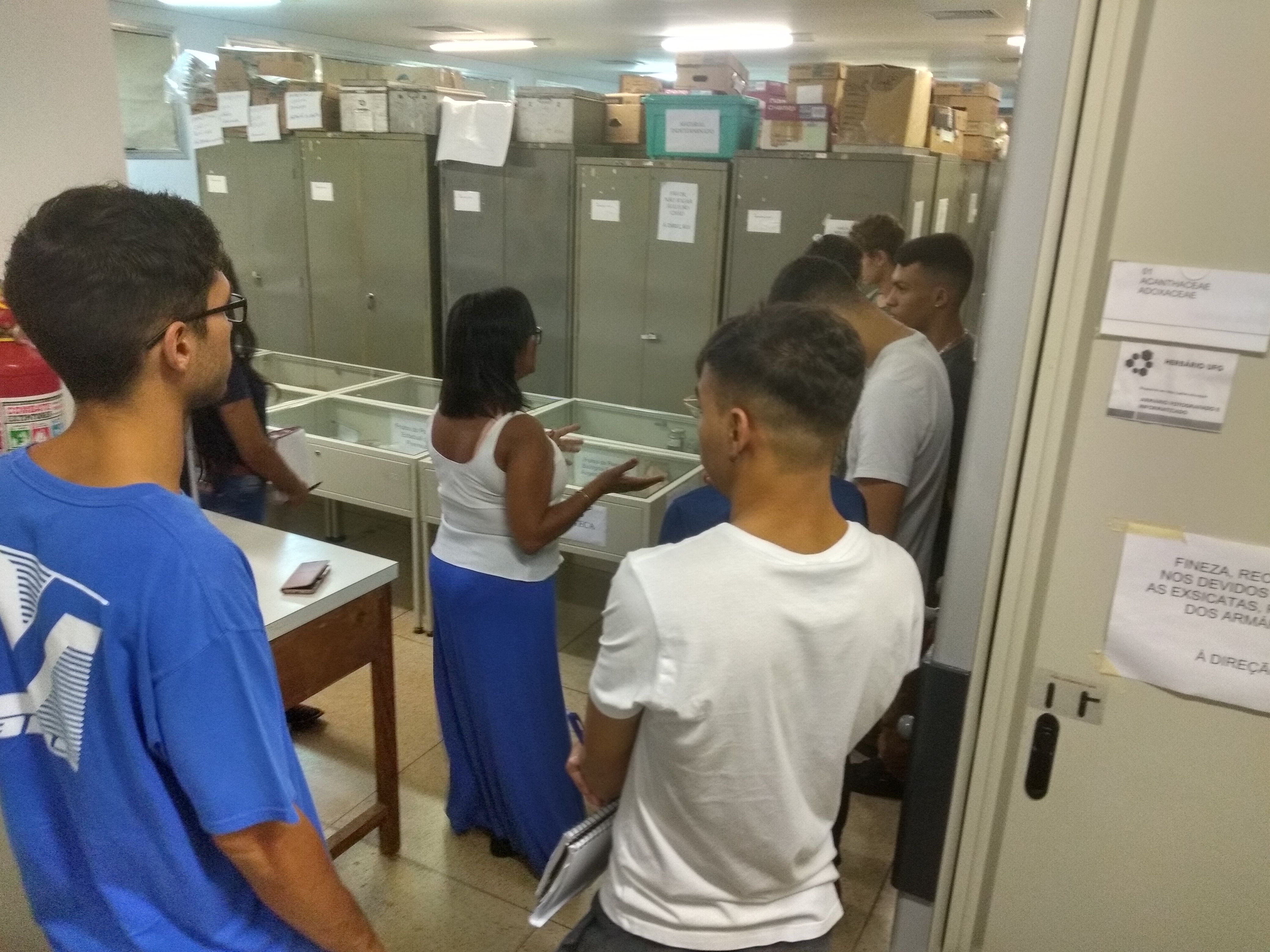 visita em dezembro