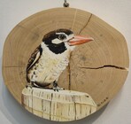 Aves por onde andei -  Exposição de fotografias e pinturas em madeira de demolição