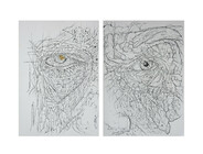 Augusto Cesar FAV UFG