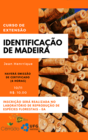Curso Identificação de Madeira