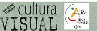 cultura visual