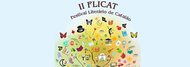  Festival Literário de Catalão