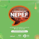 II Seminário do Nepef 8-6-22