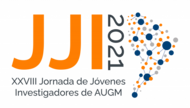 LOGO JJI 2021