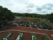 Câmpus Caldas Novas