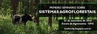 Sistemas Agroflorestais 02