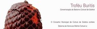 Troféu Buritis