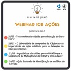 Webinar ICB ações