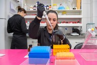 Grupo de Microfluídica e Eletroforese, IQ UFG