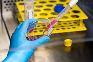 Laboratório_UFG_Cientista