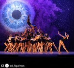 bolsa artista para bailarinos