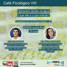 Filamentos Verdes na água - O que são e o que indicam?