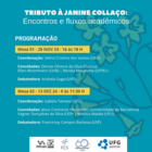 mesas redondas homenagem prof Janine