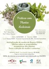 Oficina sobre plantas medicinais