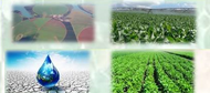 Mesa Redonda: Água e Agronegócio