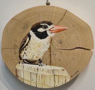 Aves por onde andei -  Exposição de fotografias e pinturas em madeira de demolição