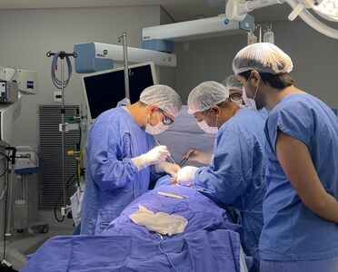 Mutirão Dia E - Cirurgias_13-12-25