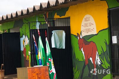 Pecuária Sustentável