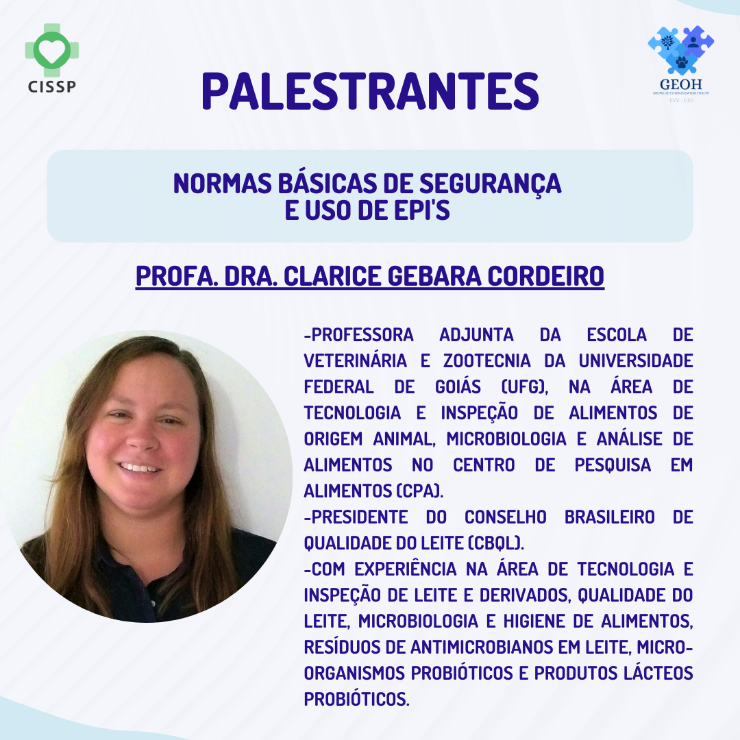 2° Workshop Online de Segurança da EVZ UFG (2)