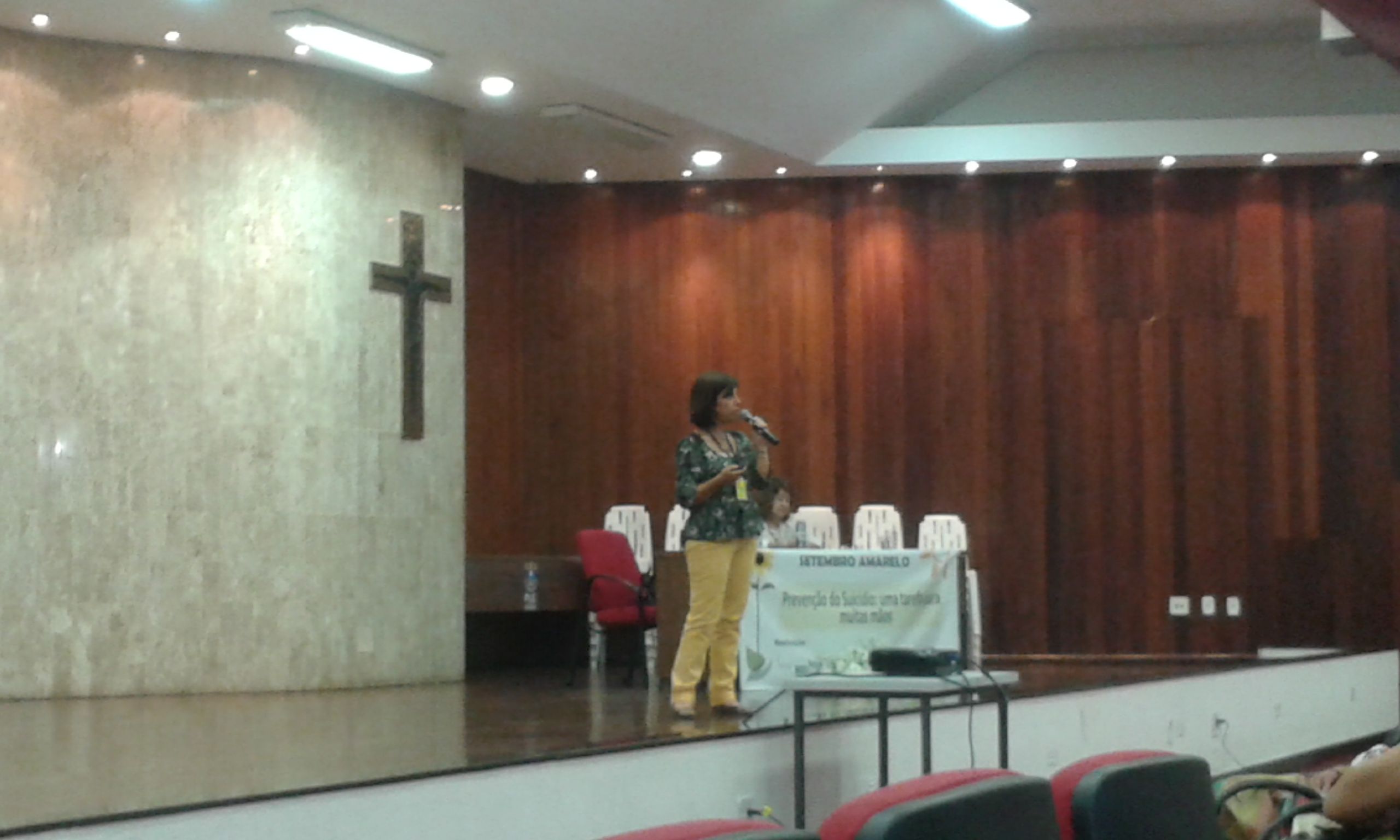 Professora Maria Amélia discorre sobre o tema