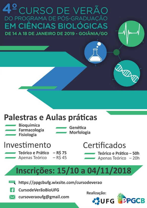  4ª curso de verão ICB.png