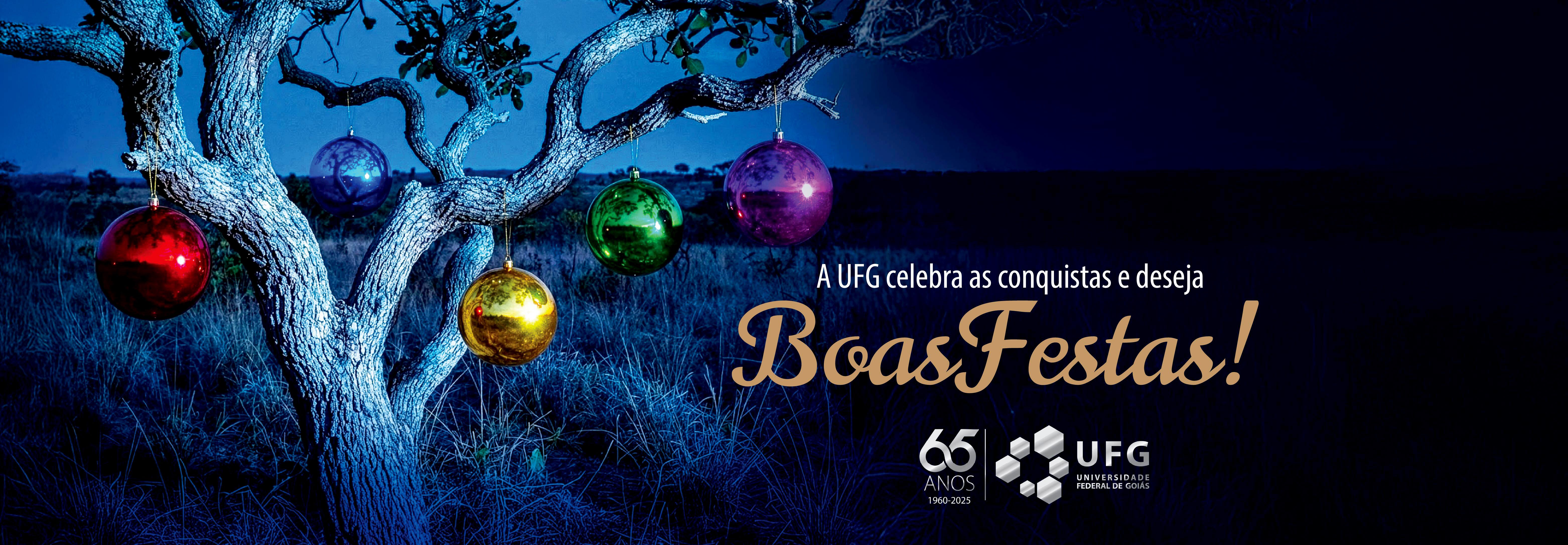 GABINETE-264_-__Natal_2025_-_banner_de_site