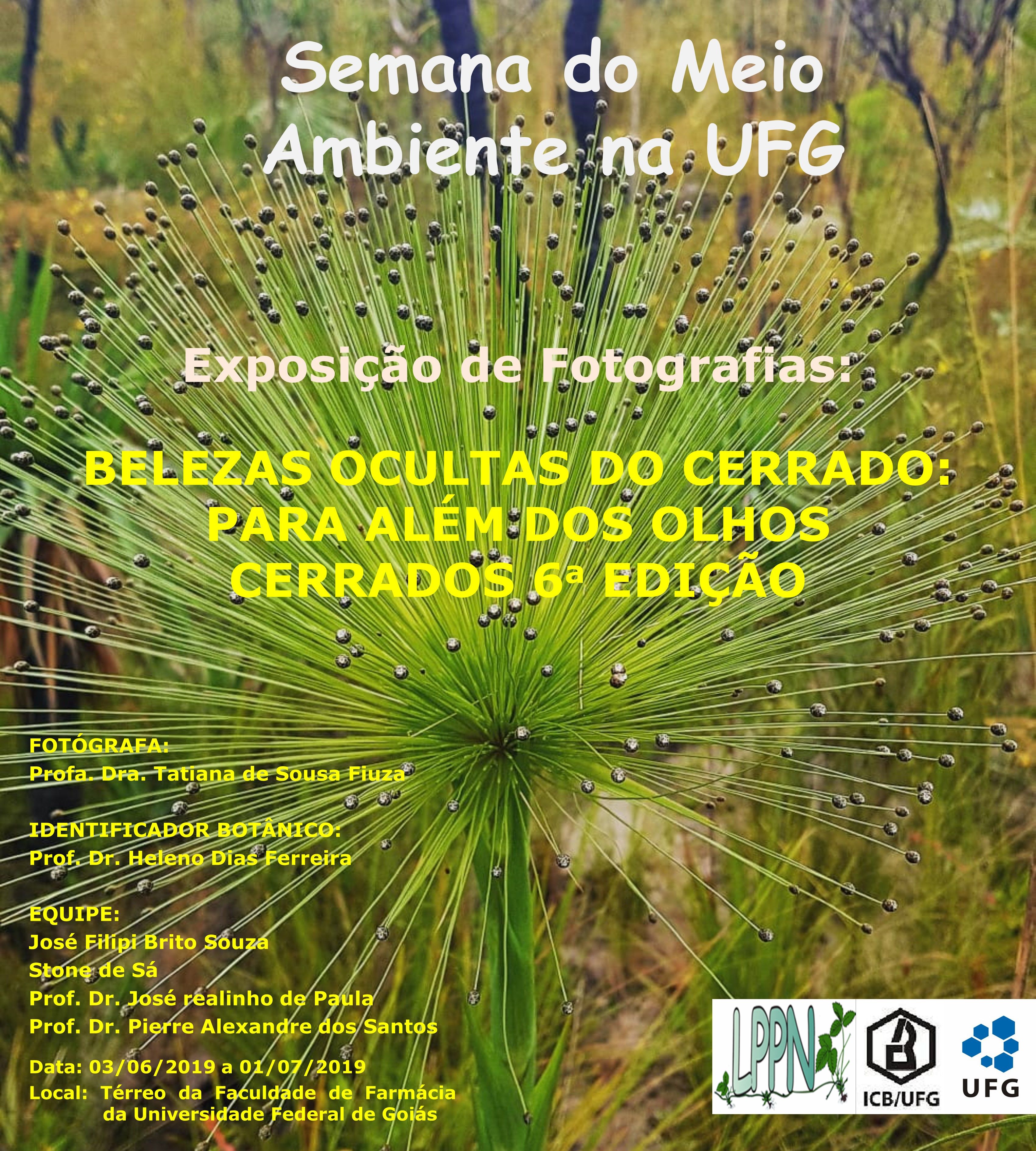 Beleza ocultas do Cerrado 6a edição_03062019.jpg