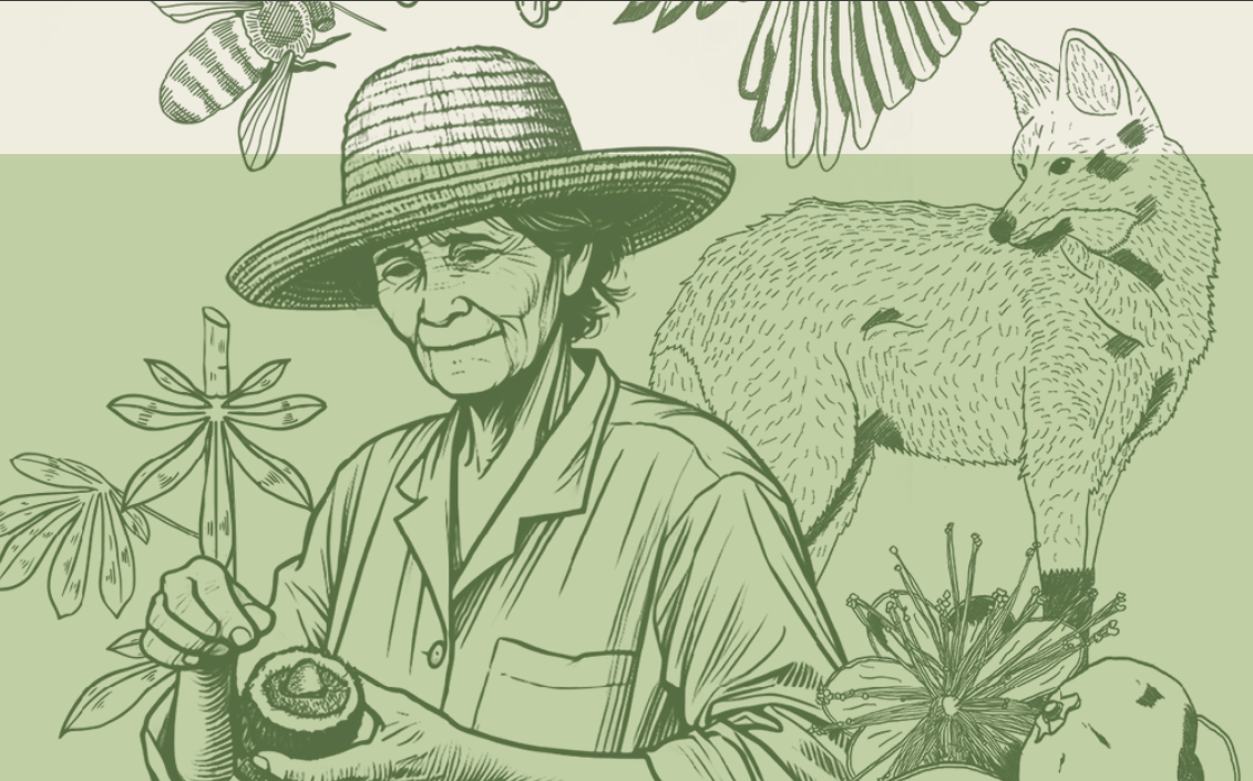 Fapeg divulga chamda pública para Cerrado Tech