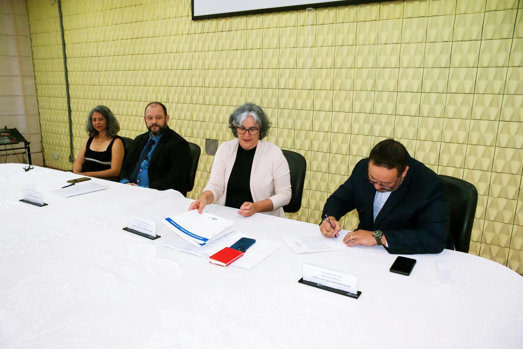 posse direção FEFD