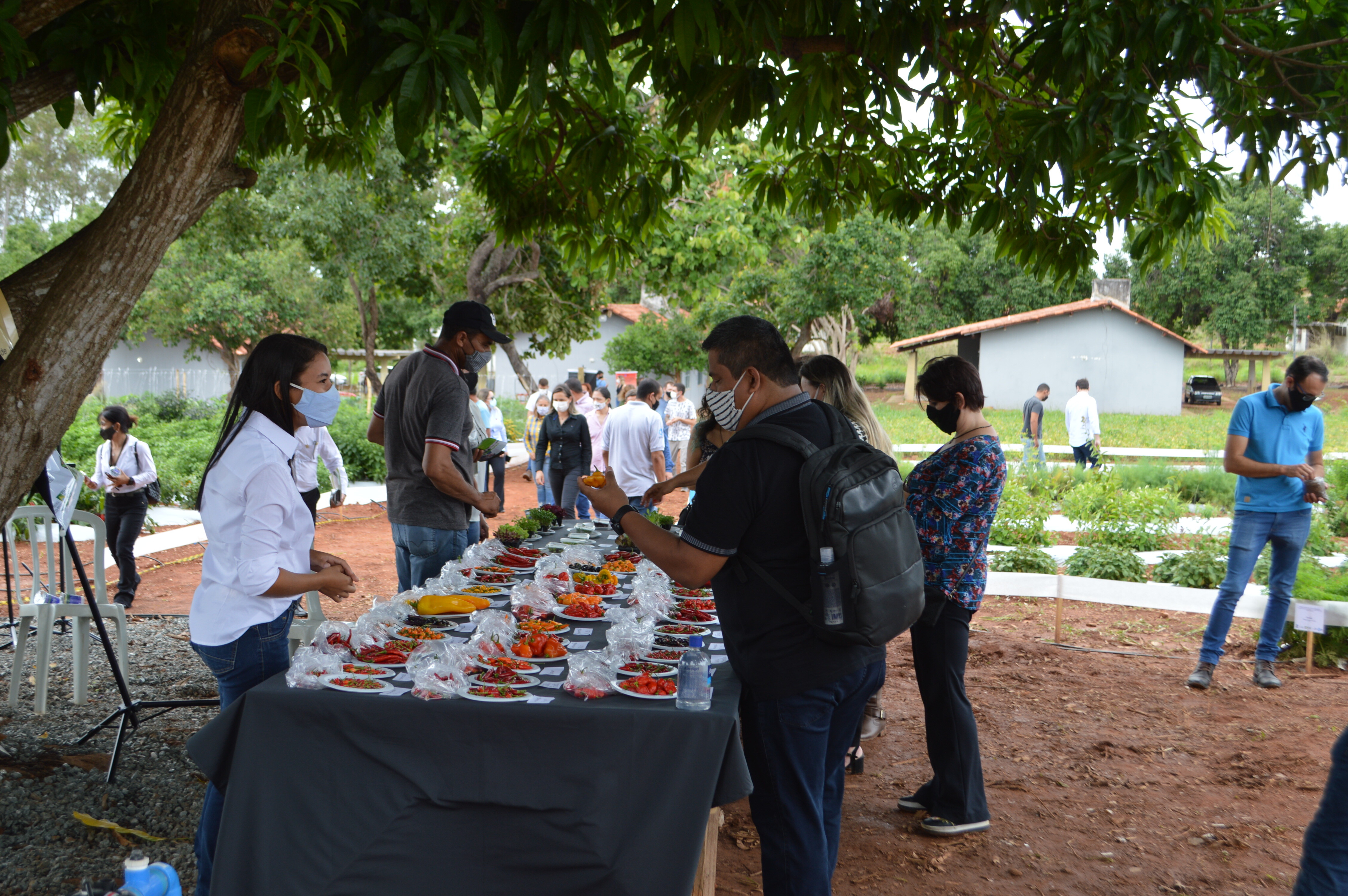 Câmpus Caldas Novas