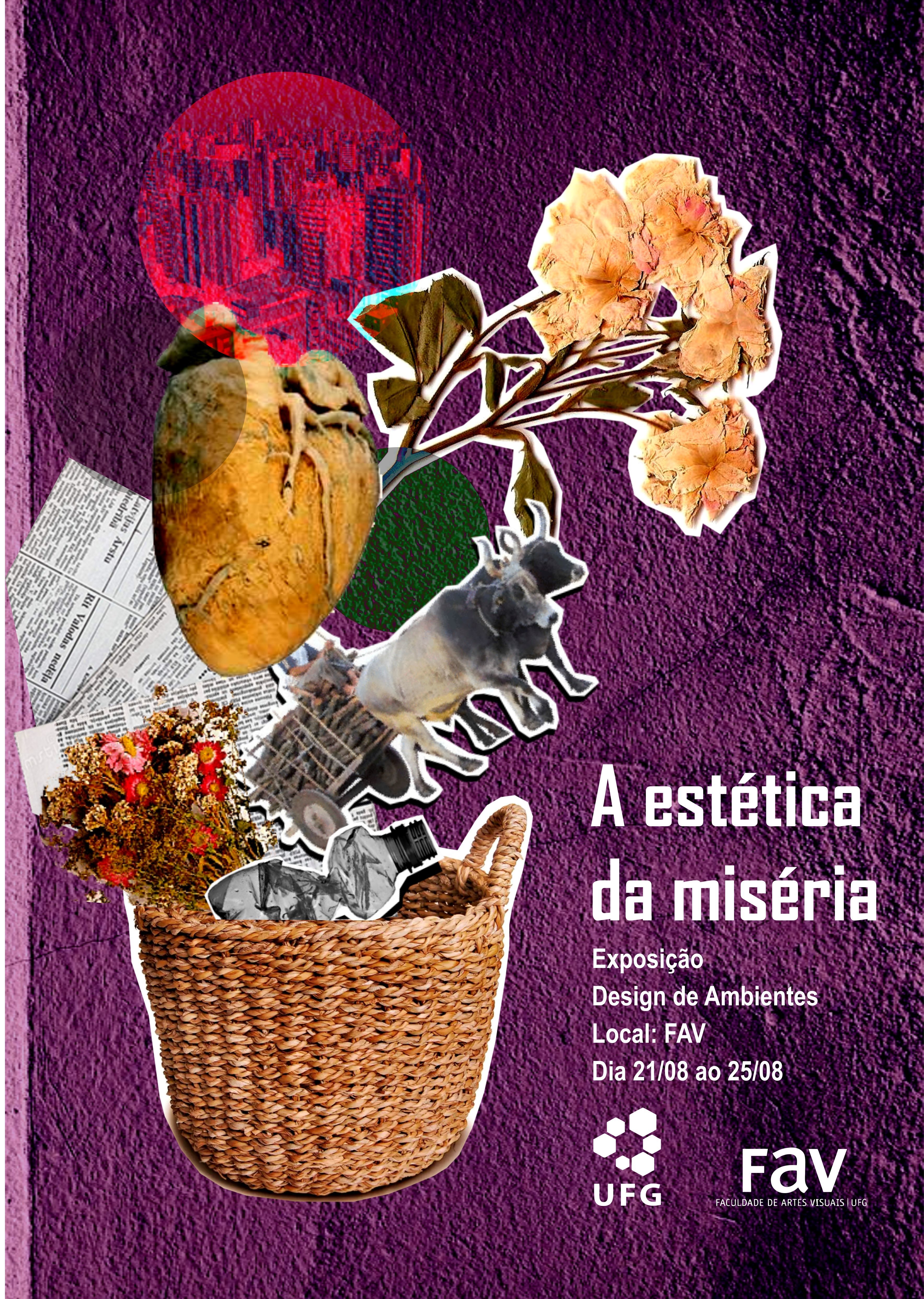 A estética da miséria