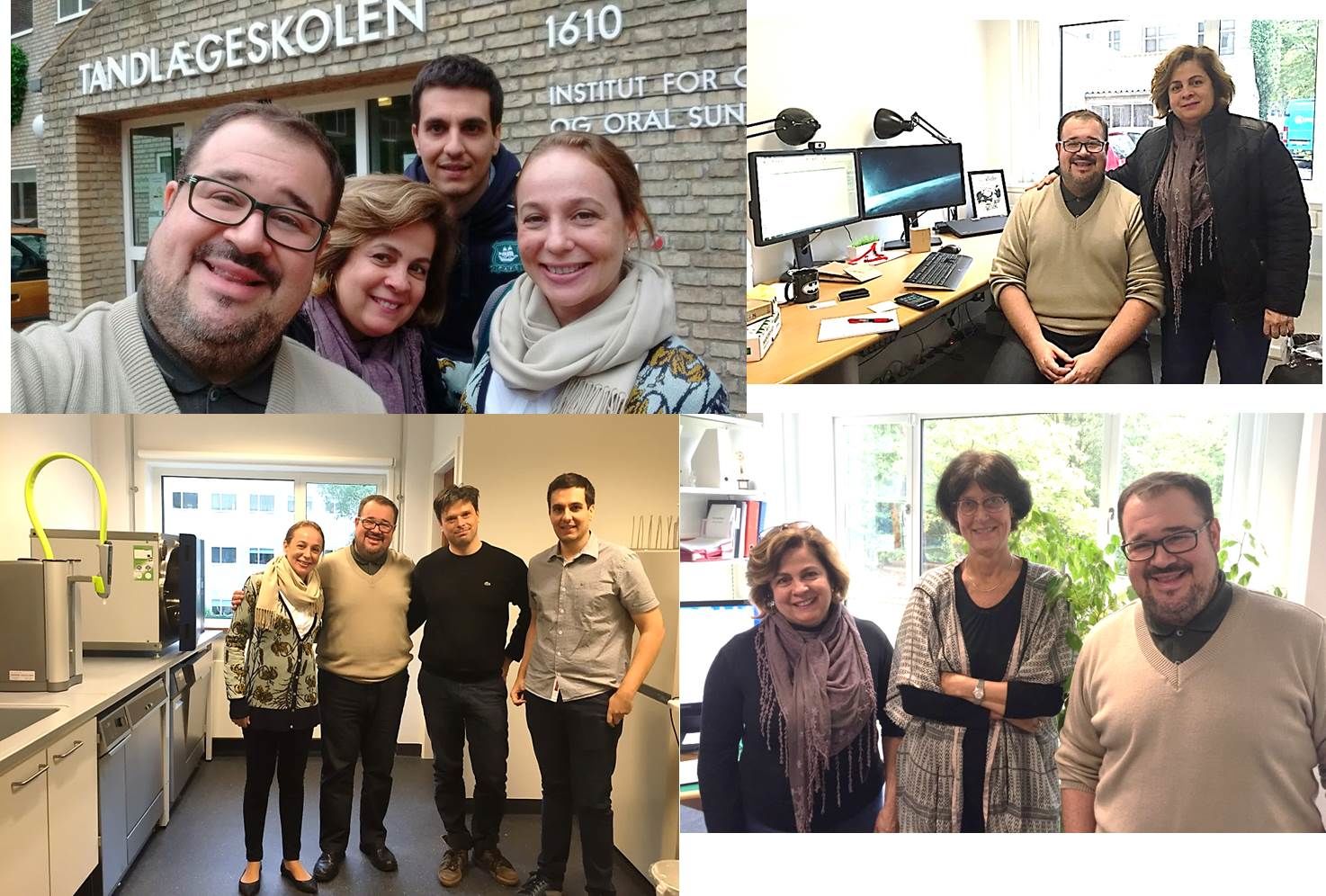 final do Programa Linnaeus-Palme e estabelecimento de novas parcerias