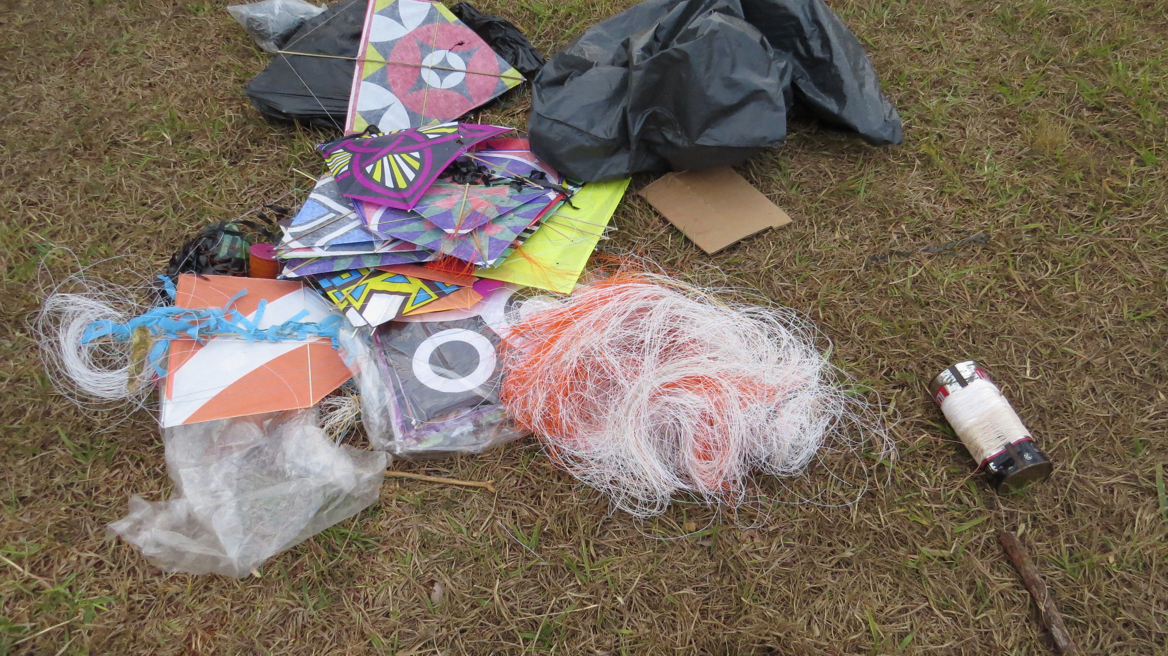 Campanha Pipa Sem Cerol 4