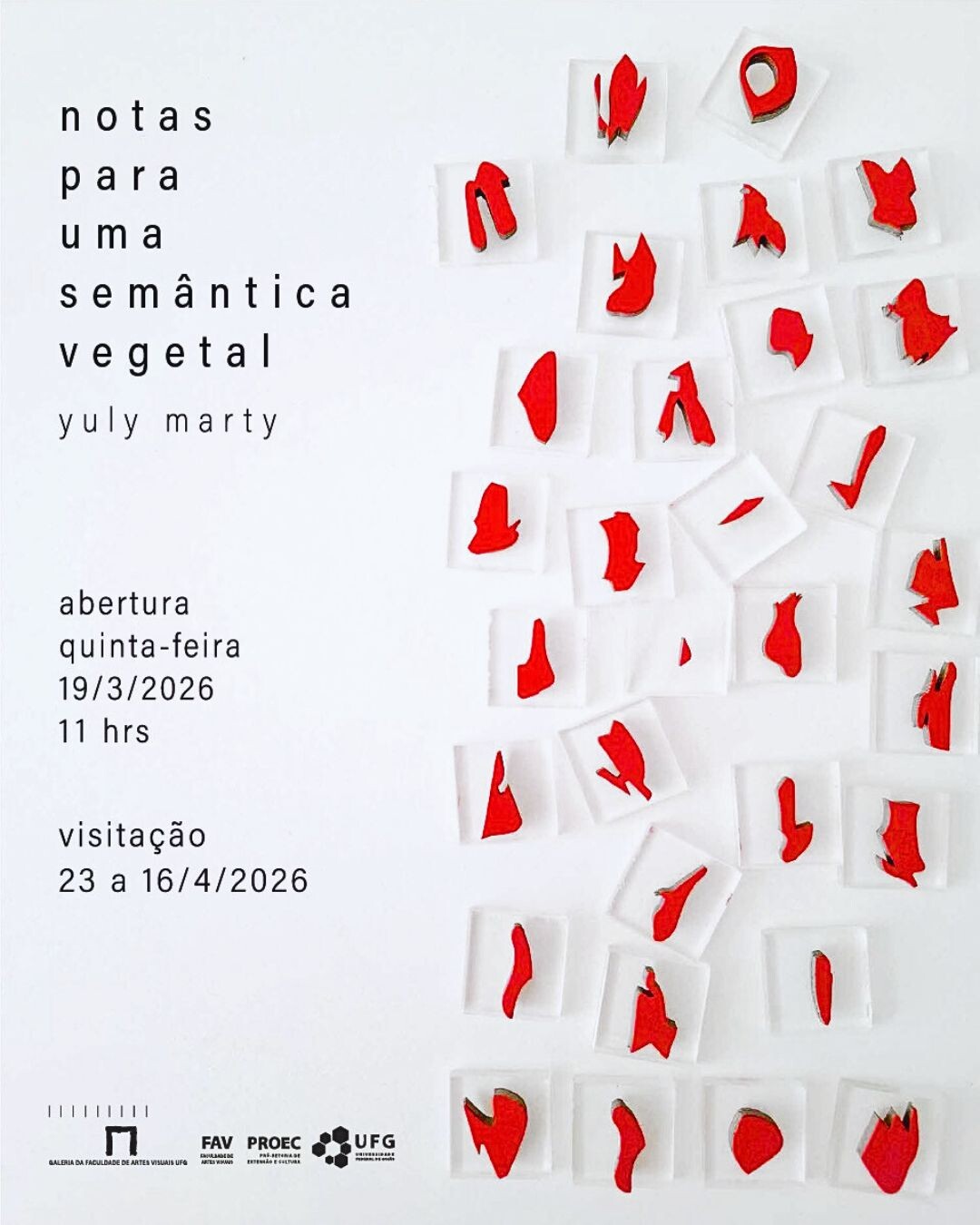 Exposição "Notas para uma semântica vegetal", de Yuly Marty