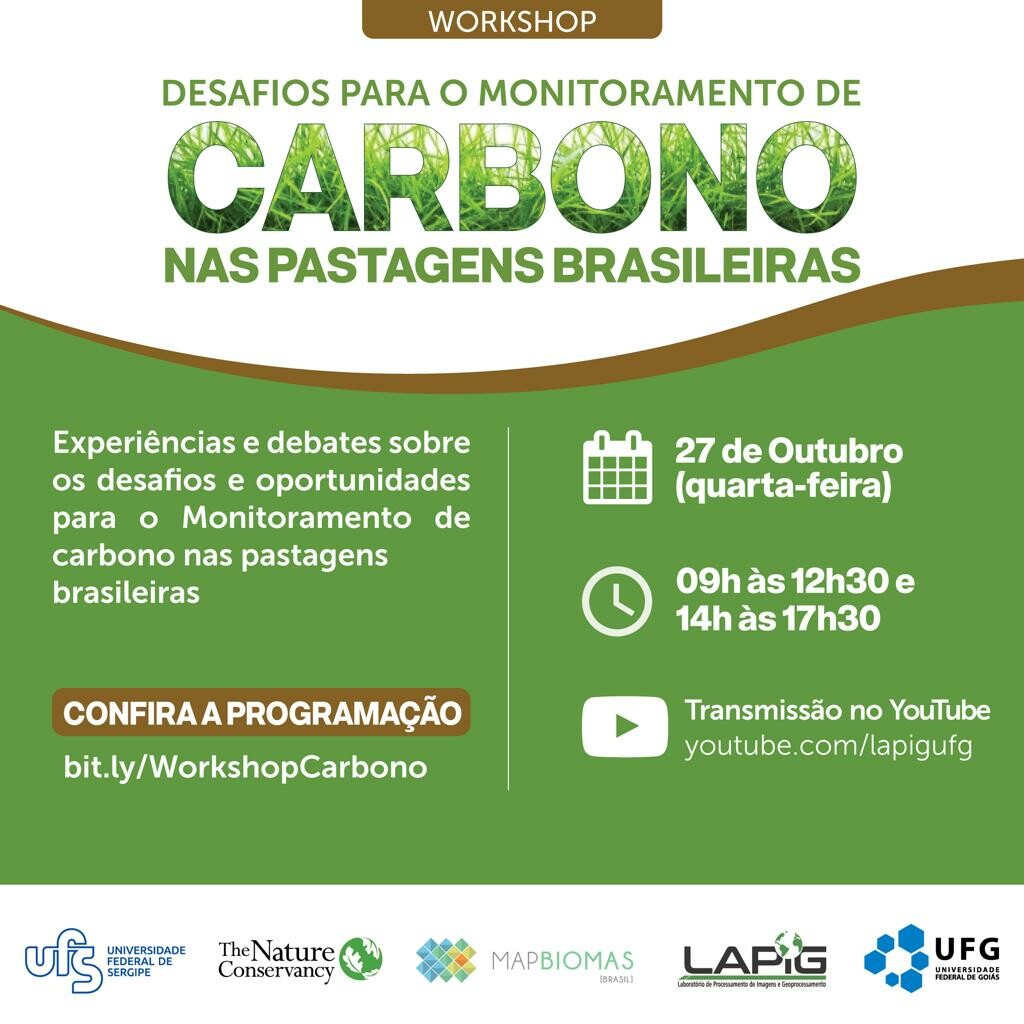 Workshop desafios para o monitoramento de Carbono nas pastagens Brasileiras