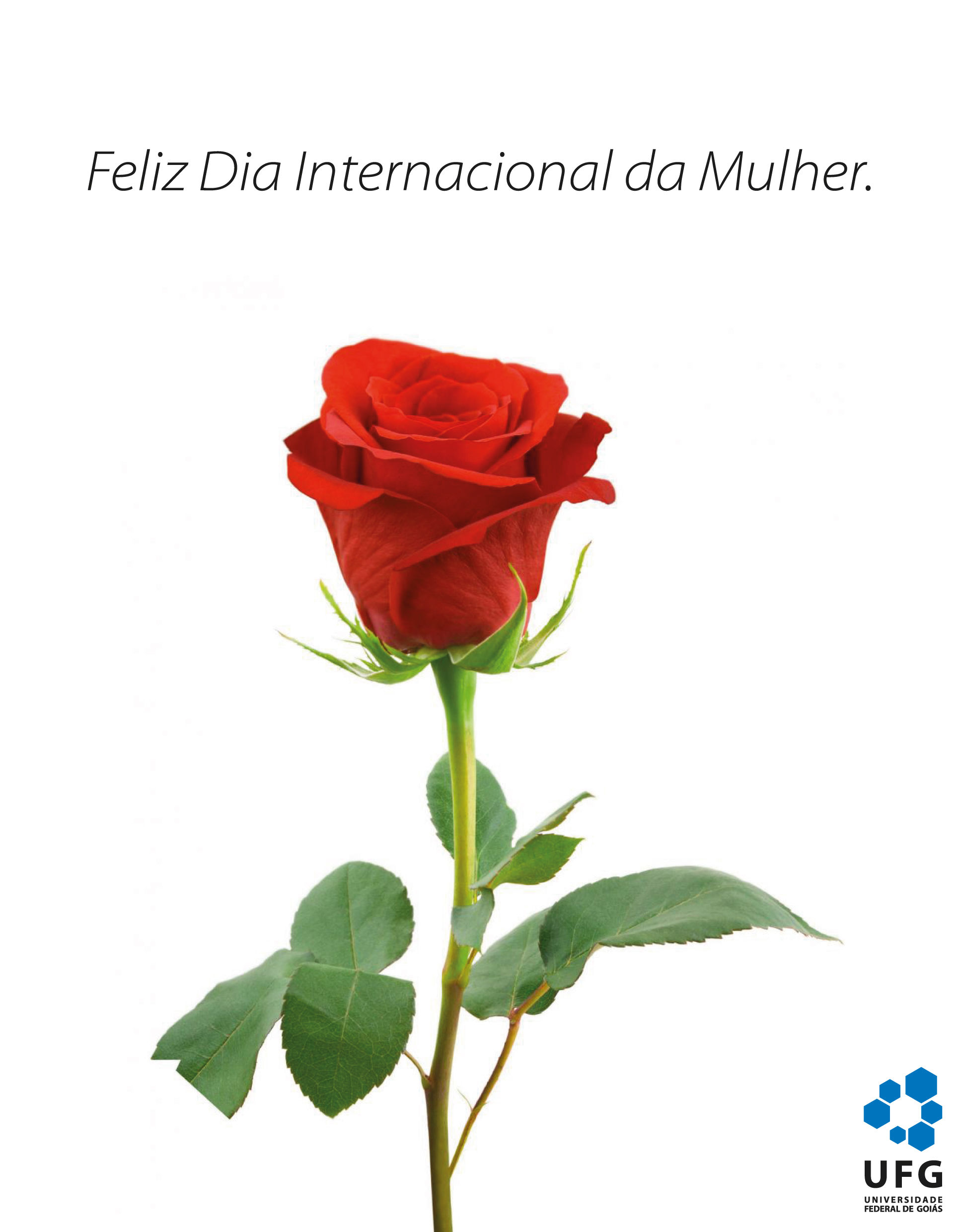 Dia das mulheres