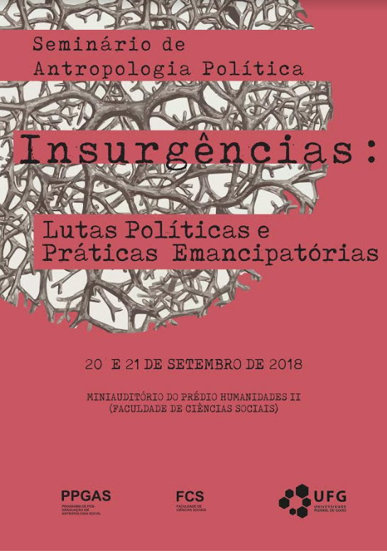 Seminário de antropologia política.png