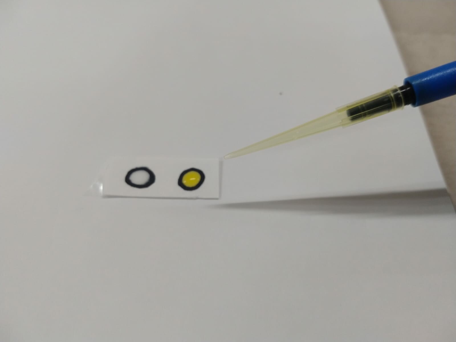 Teste produto para HackBrazil 2022