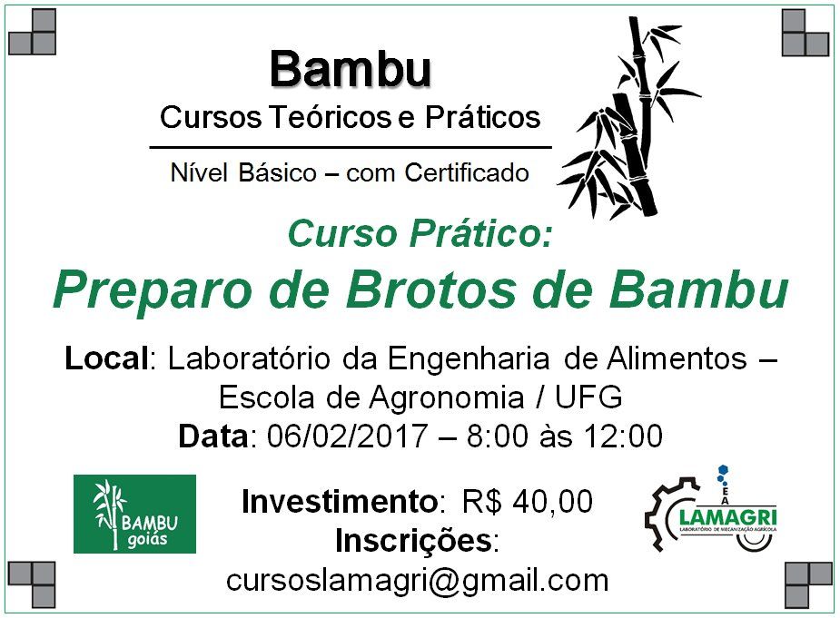 Bambu