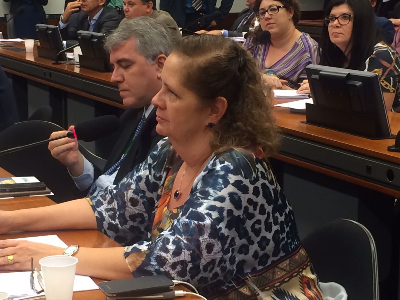 Conhecimento sem cortes