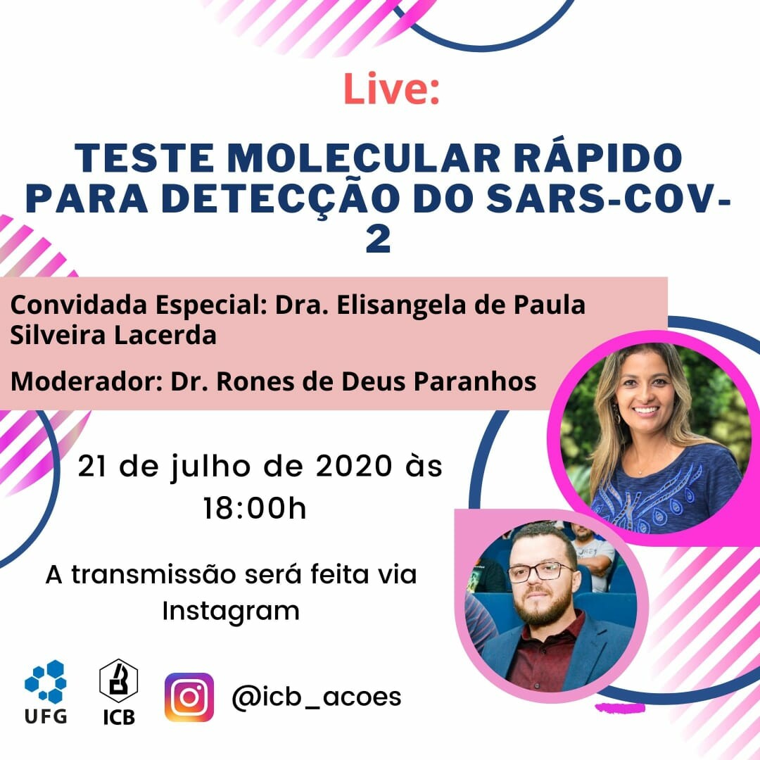 Webinar ICB ações