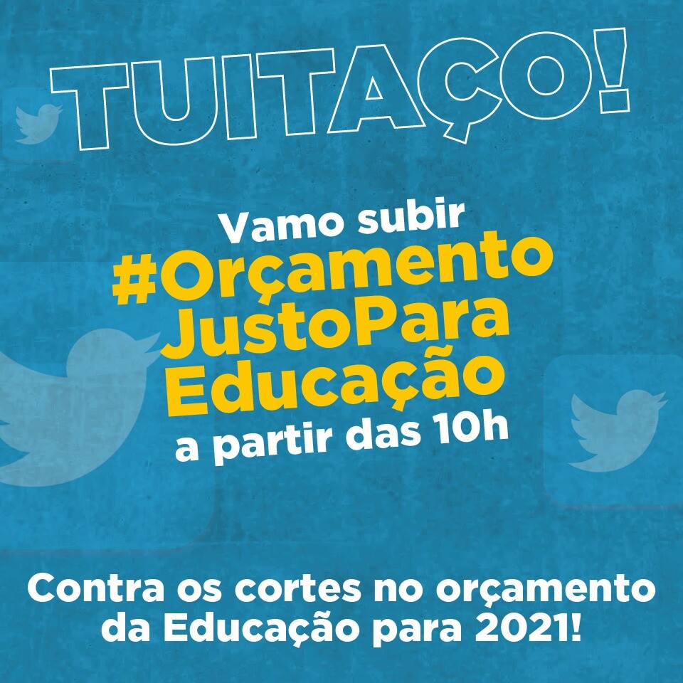 educação