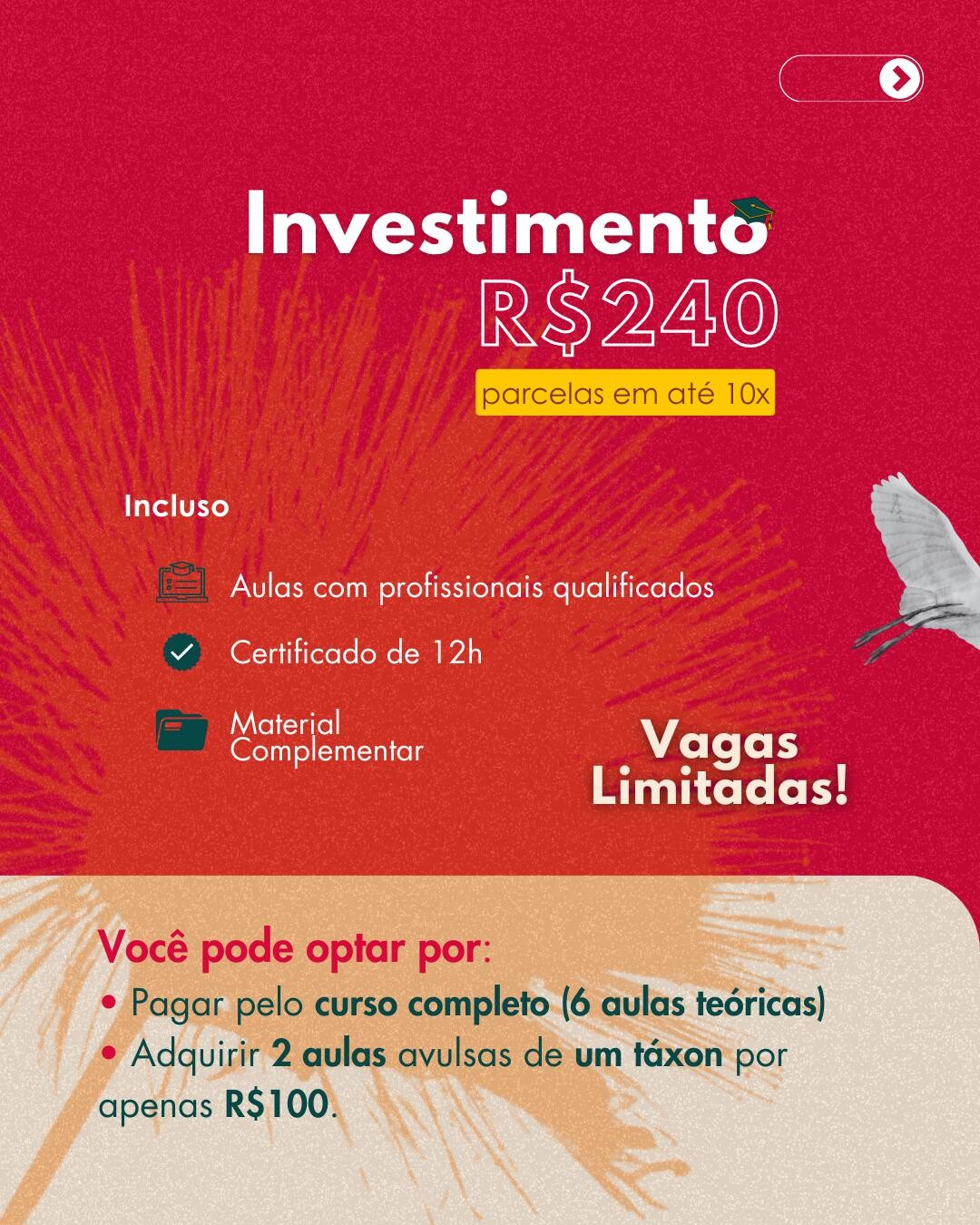 Curso on-line "Ecologia das aves e insetos" 2